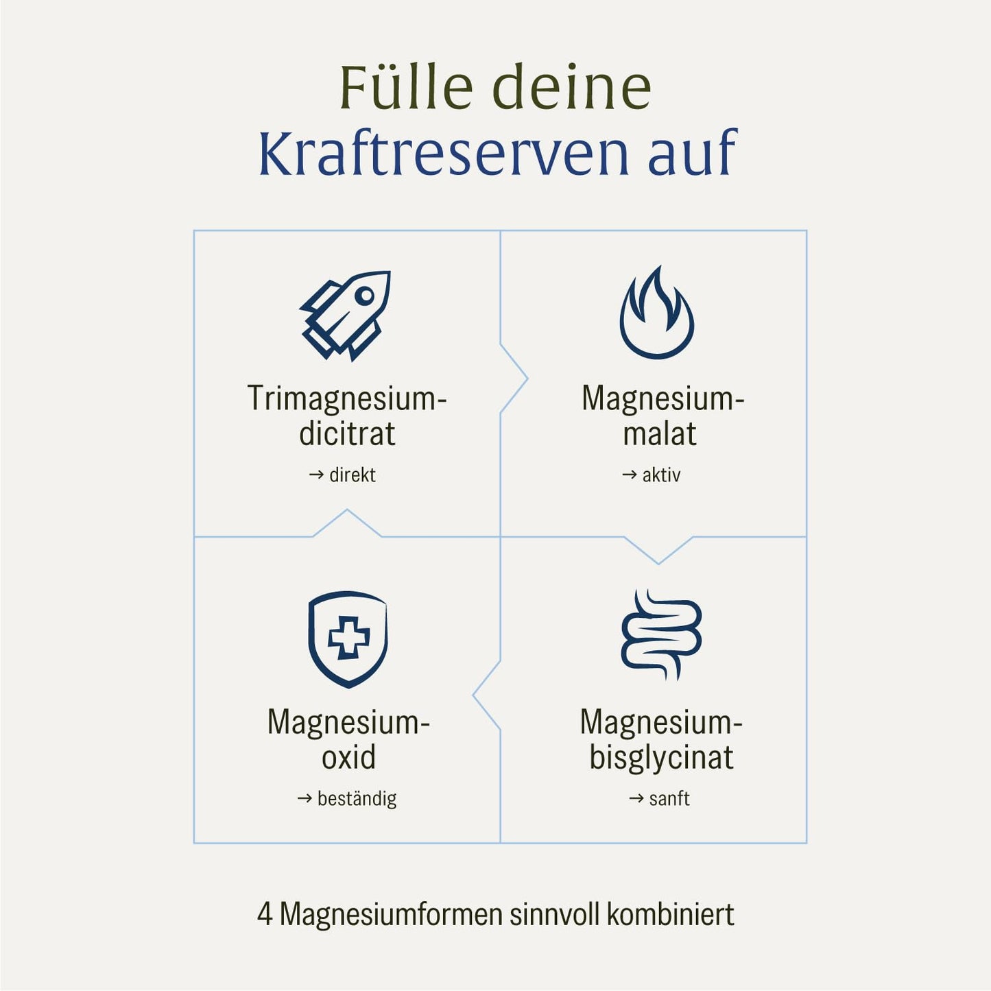 Magnesium Komplex hochdosiert - Komplex mit: Magnesiumcitrat, Bisglycinat, Magnesium Malat und Magnesiumoxid - Vegan - 180 Kapseln