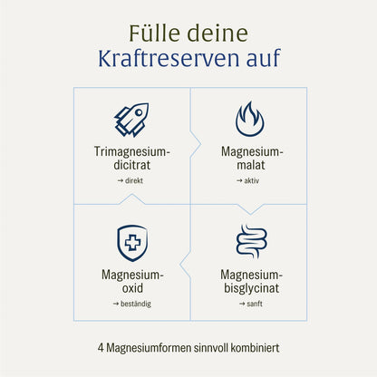 Magnesium Komplex hochdosiert - Komplex mit: Magnesiumcitrat, Bisglycinat, Magnesium Malat und Magnesiumoxid - Vegan - 180 Kapseln