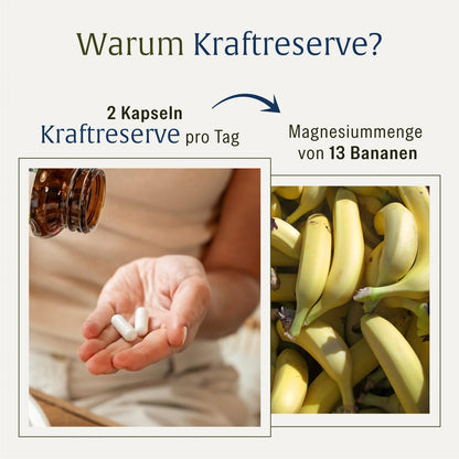 Magnesium Komplex hochdosiert - Komplex mit: Magnesiumcitrat, Bisglycinat, Magnesium Malat und Magnesiumoxid - Vegan - 180 Kapseln