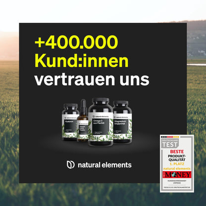natural elements Magnesiumcitrat – 360mg elementares Magnesium pro Tagesdosis – 365 vegane Kapseln – 4-Monats-Vorrat – hochdosiert, ohne Zusätze – in Deutschland entwickelt & laborgeprüft