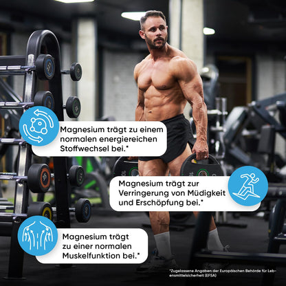 Magnesiumcitrat Kapseln gepuffert - 444mg Elementares Magnesium pro Portion - 240 Kapseln - 4 Monate Vorrat - Magnesium trägt zur Verringerung von Müdigkeit & Erschöpfung bei (EFSA) - WeightWorld