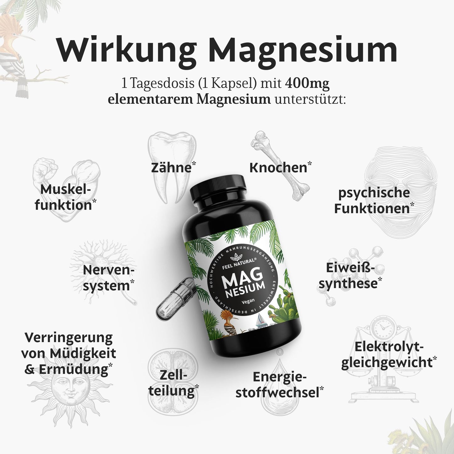 Magnesium hochdosiert Kapseln - 350 g Stück (Jahresvorrat) - 664mg je Kapsel, davon 400mg elementares Magnesium - höherer Gehalt als andere Magnesiumformen - Laborgeprüft & Vegan