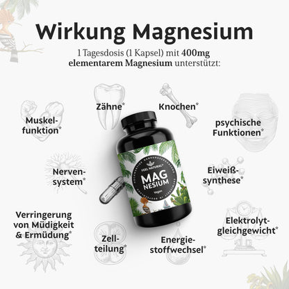 Magnesium hochdosiert Kapseln - 350 g Stück (Jahresvorrat) - 664mg je Kapsel, davon 400mg elementares Magnesium - höherer Gehalt als andere Magnesiumformen - Laborgeprüft & Vegan
